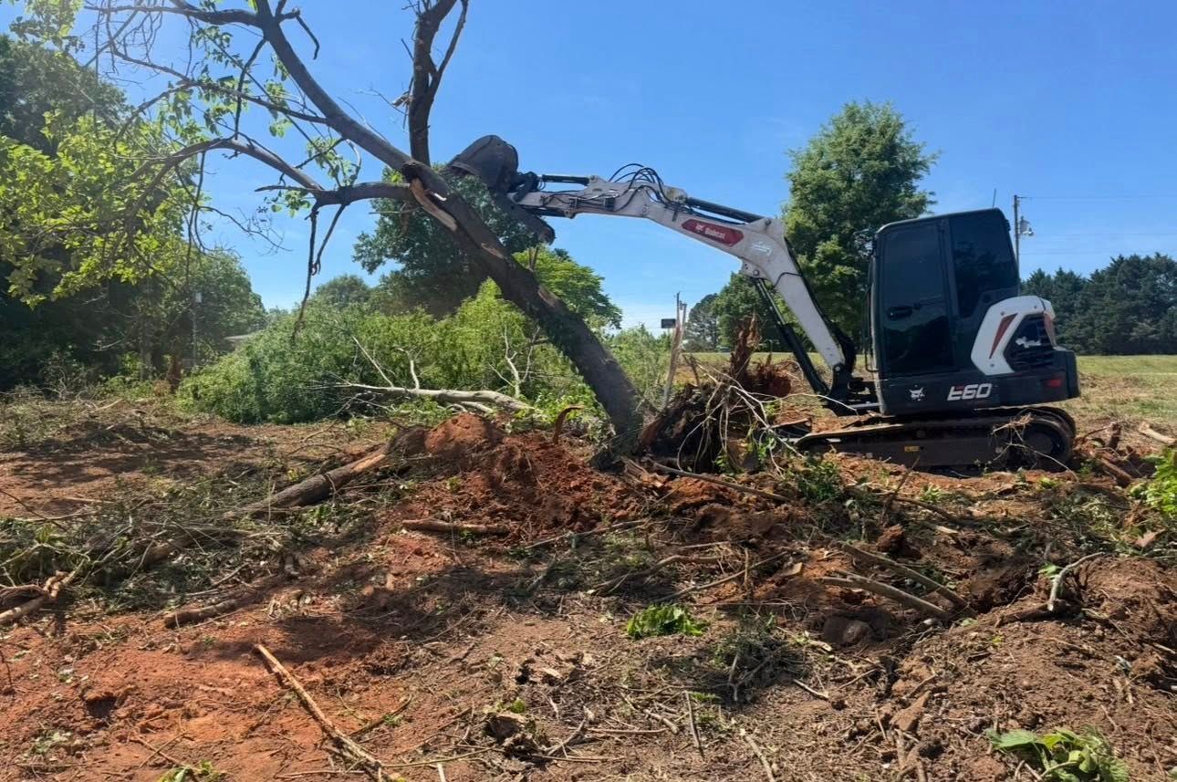Excavator clearing brush on a sunny hillside with trees and cut vegetation around it