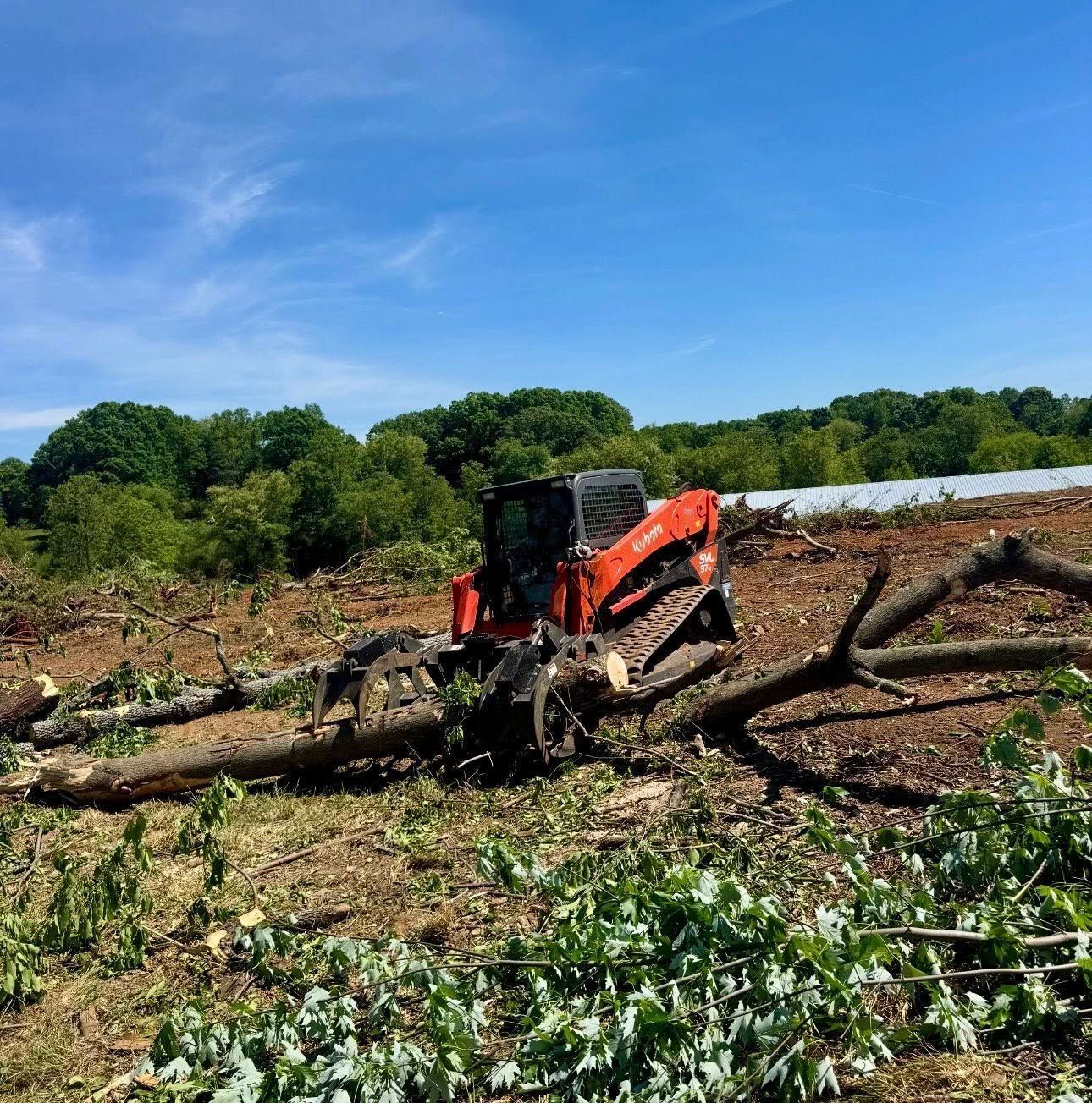 Orange excavator clearing fallen trees in a muddy field under a blue sky