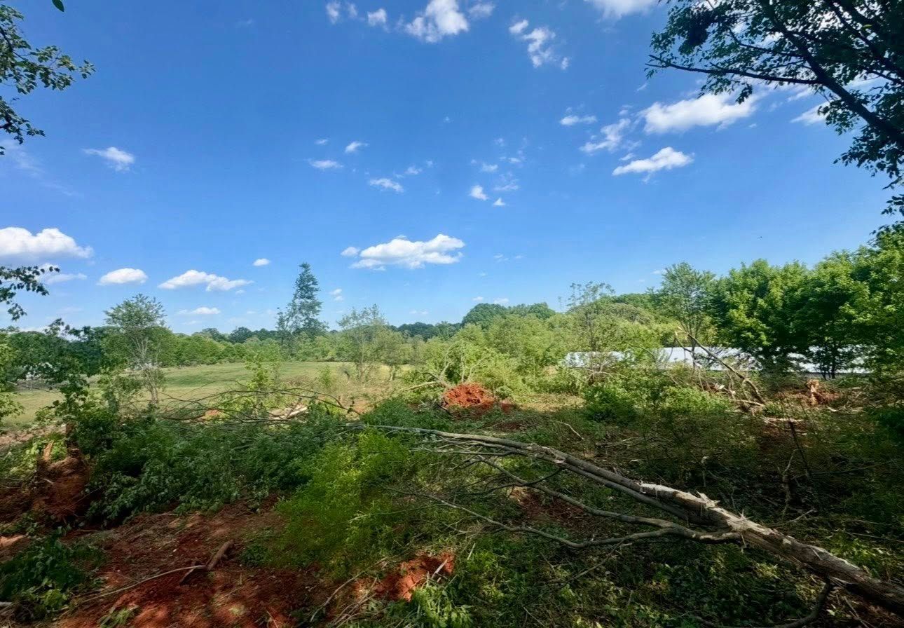 Brush-cleared field under a blue sky with scattered clouds and a small orange object in the center