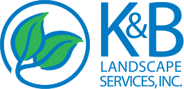 Primary Logo