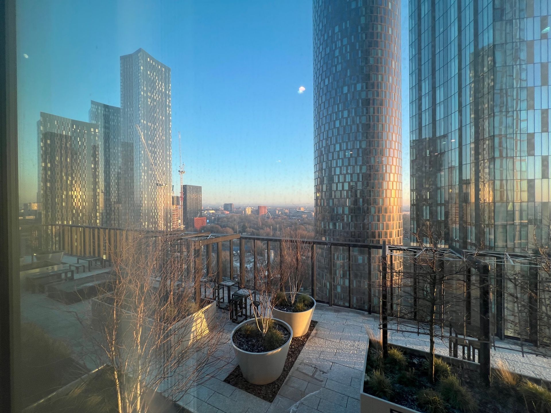 Rooftop view of a city with tall buildings, potted plants, and clear blue sky.