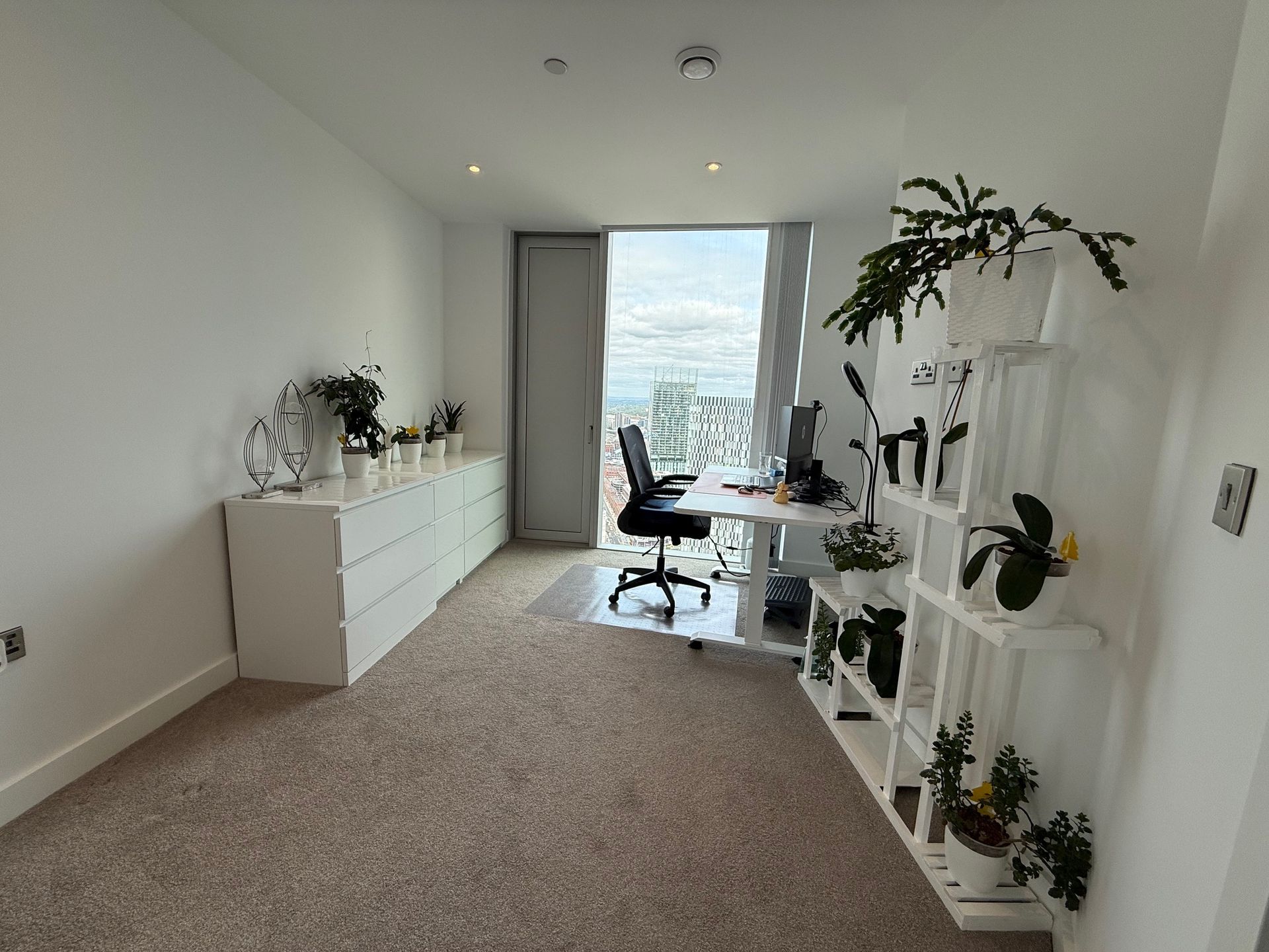 White office room with desk, storage, plants, and large window.