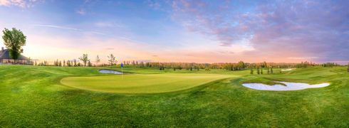 Golf green with blue flag, trees, and blue sky.