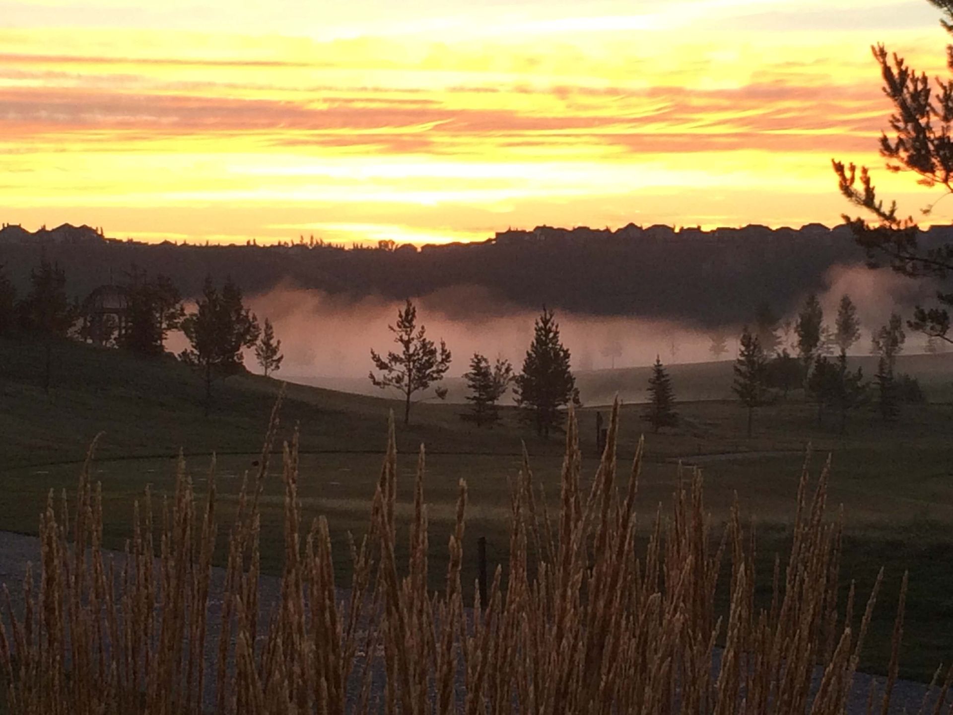 Sunrise over a golf course with fog in a valley. Golden and orange sky; tall grass in foreground.