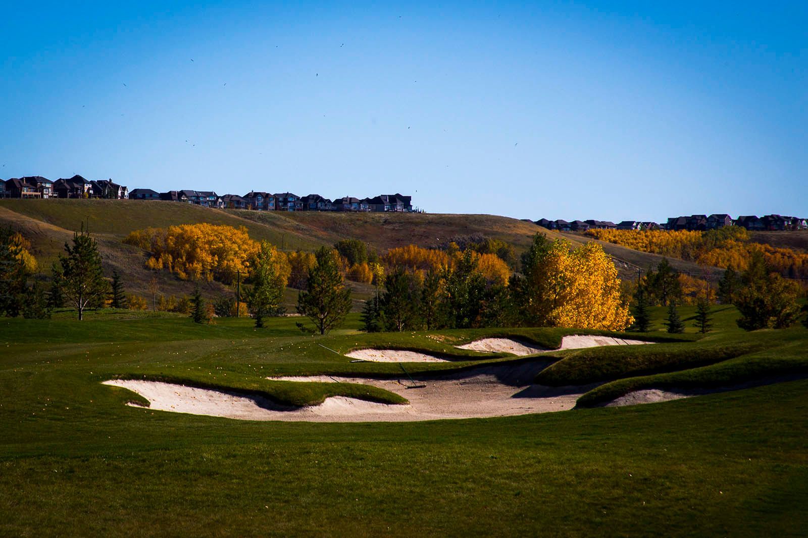 Golf course with sand traps and autumn trees under a blue sky, suburban houses on a hillside.
