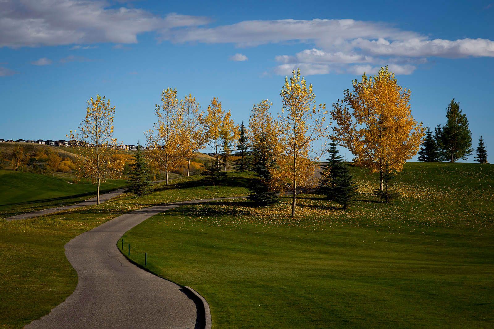 Path winds through green grassy hill, golden trees under blue sky with clouds.