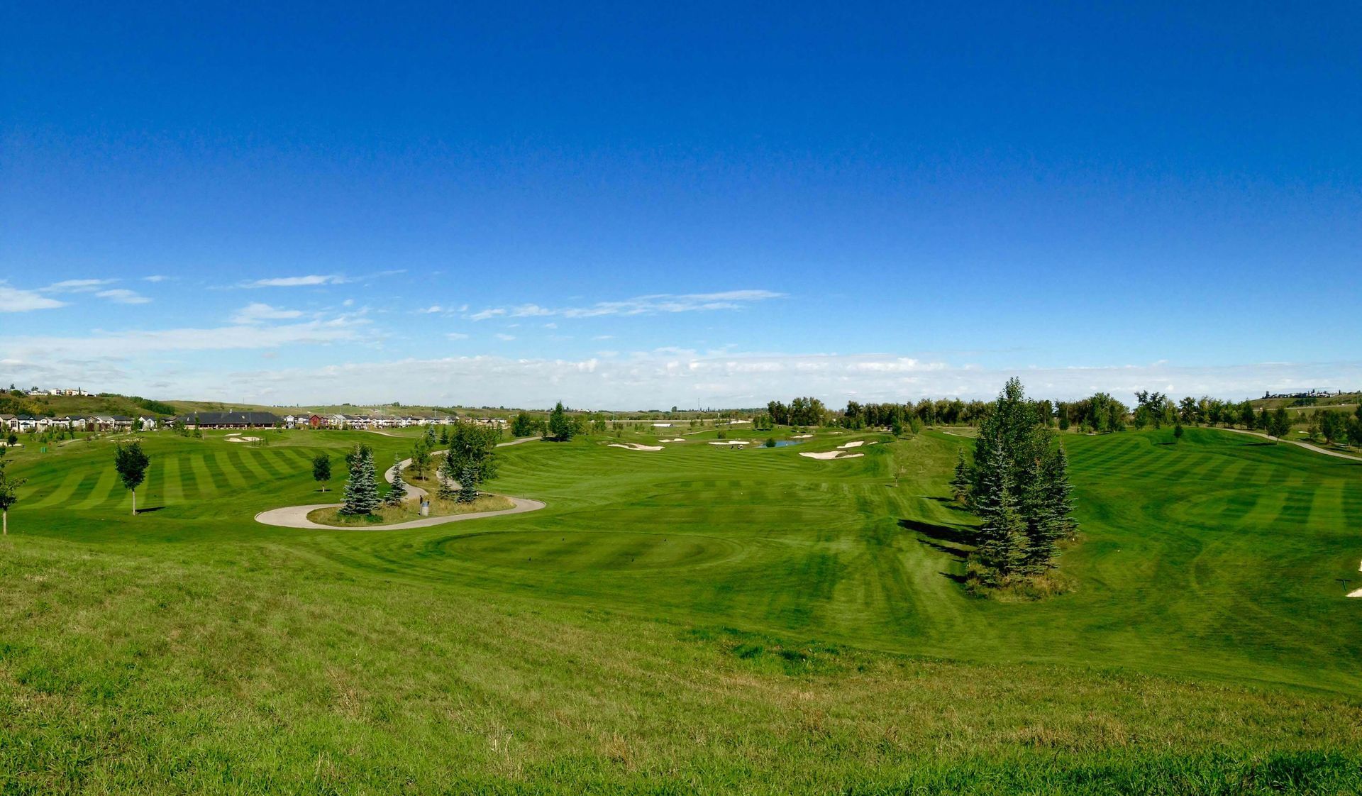 Green golf course under a clear blue sky, with trees and residential buildings in the distance.