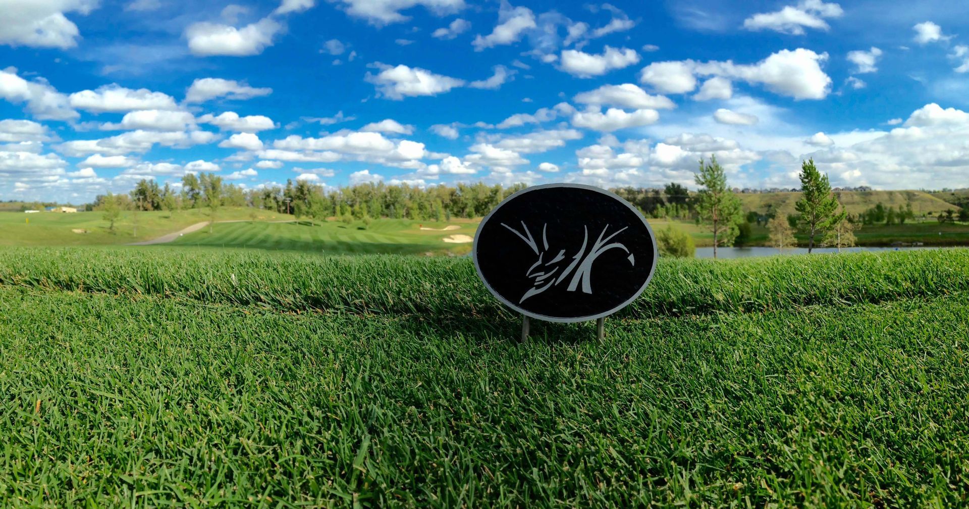 Golf course view with green field, blue sky, and a black and silver sign featuring a stylized tree.
