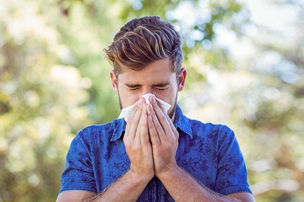 Allergies — Pineville, WV — Family Healthcare Associates Inc.