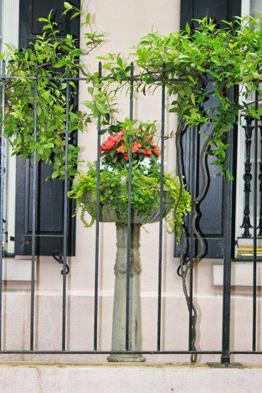 Garden Pottery — Fence With Plants in Savannah, GA