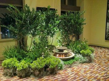 Plant Nursery Services — Plants With Fountains in Savannah, GA