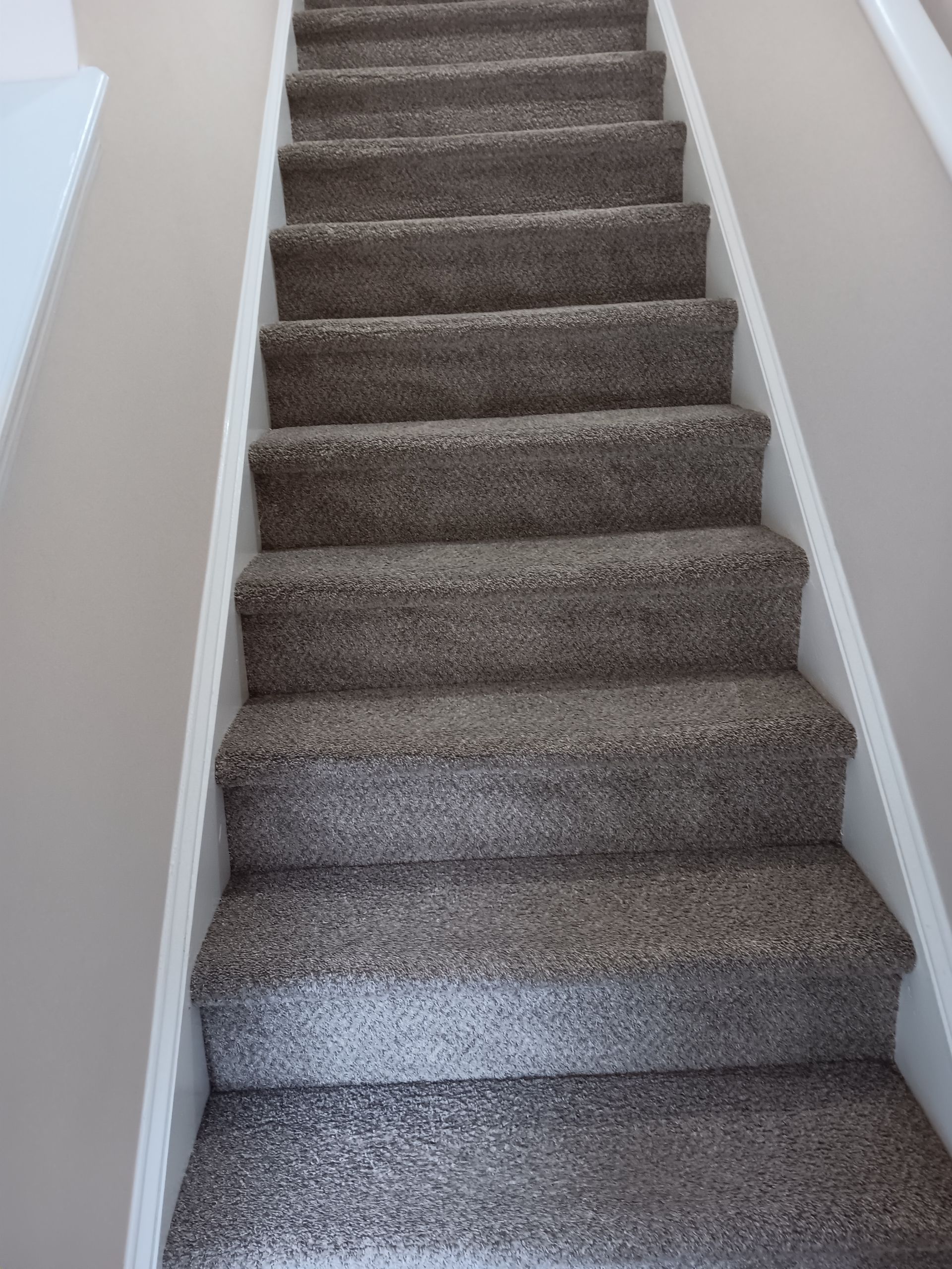 Carpeted staircase with beige walls and white trim.