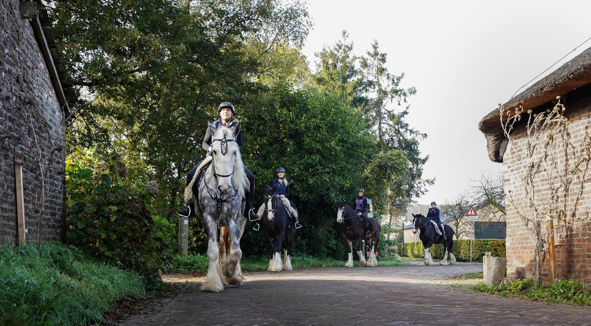 Paardrij Retreat op Shire paarden – voor volwassenen
Deze retreat is ontstaan vanuit een gemis.
Buitenritten en paardrijvakanties zijn er volop, maar meestal gericht op jongeren.
Terwijl juist ervaren, volwassen ruiters behoefte hebben aan rust, kwaliteit en een echte beleving.