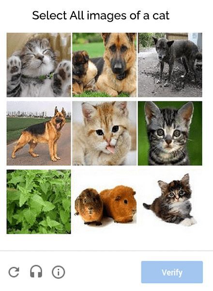 Level AA Accessible Captcha Example of choosing cats in an image.