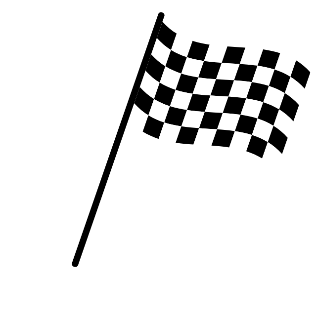 A black and white checkered flag is waving in the wind.