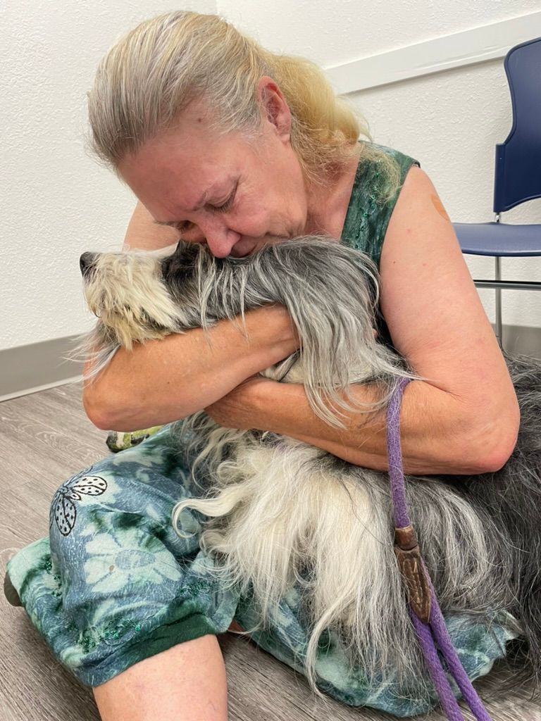 Golden retriever being petted by a person wearing jeans. The dog smiles with its tongue out, in a sunny outdoor setting.