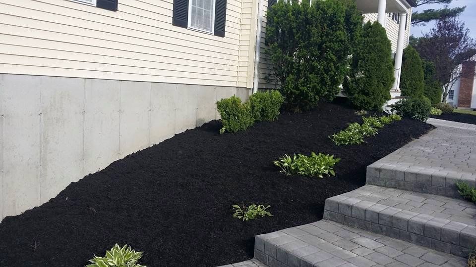 A house with a lot of black mulch on the side of it