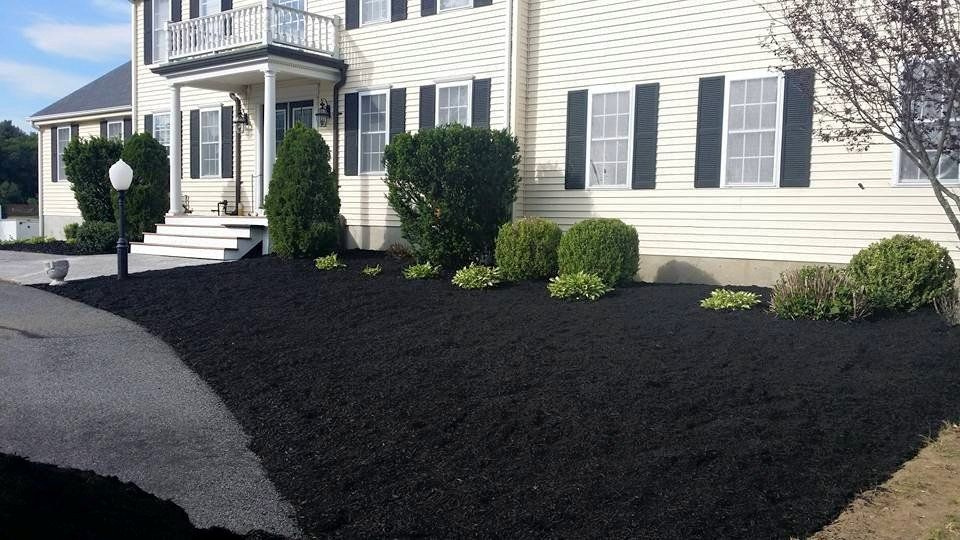 A white house with black shutters and black mulch in front of it