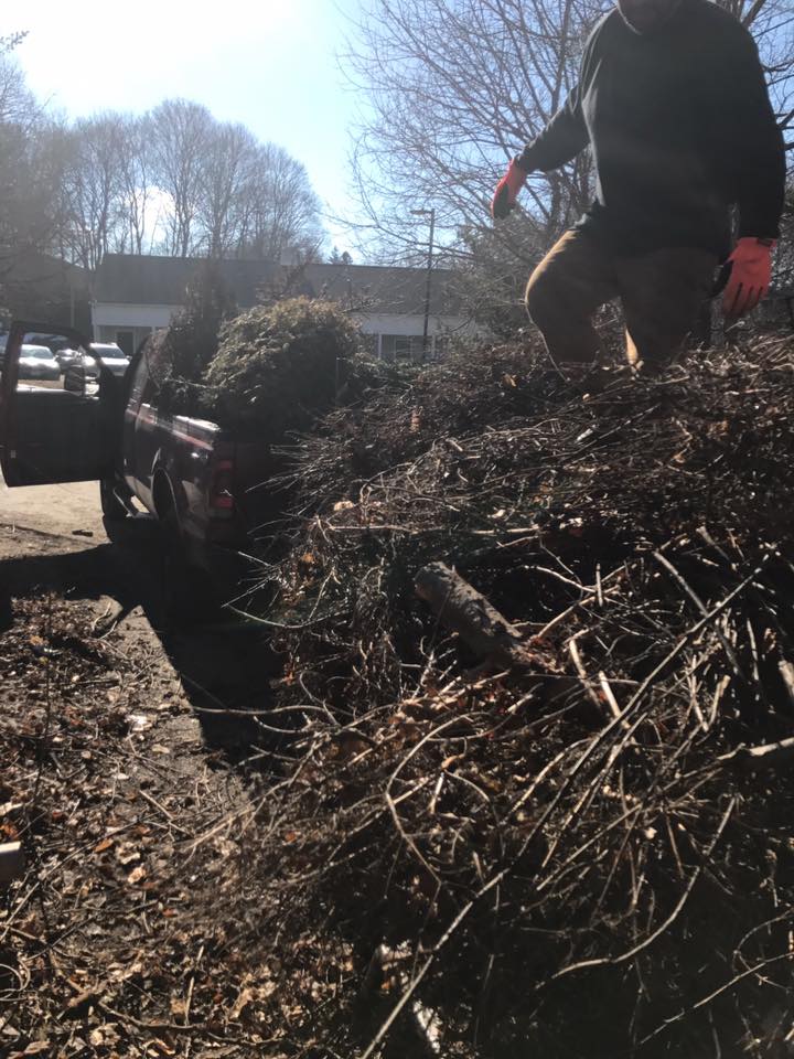 A man is standing on top of a pile of branches.