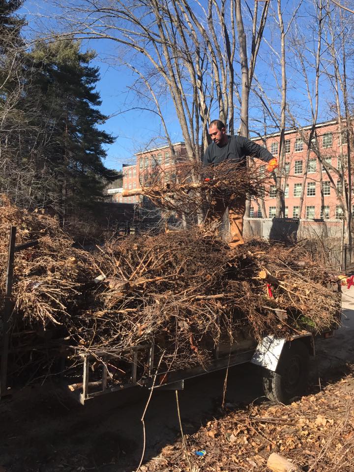 A man is standing on top of a pile of branches.