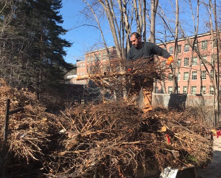A man is standing on top of a pile of branches.