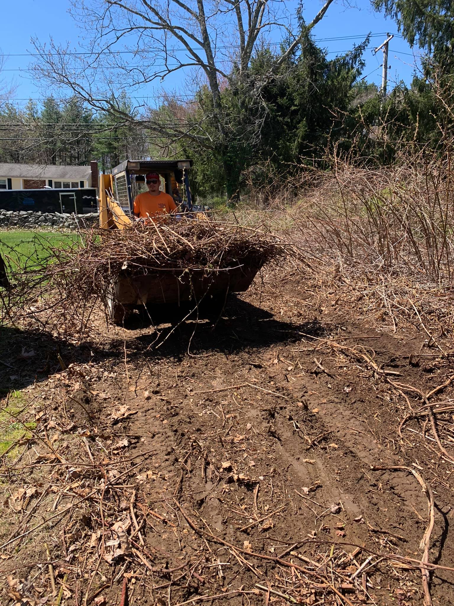 A bulldozer is driving down a dirt road filled with leaves.