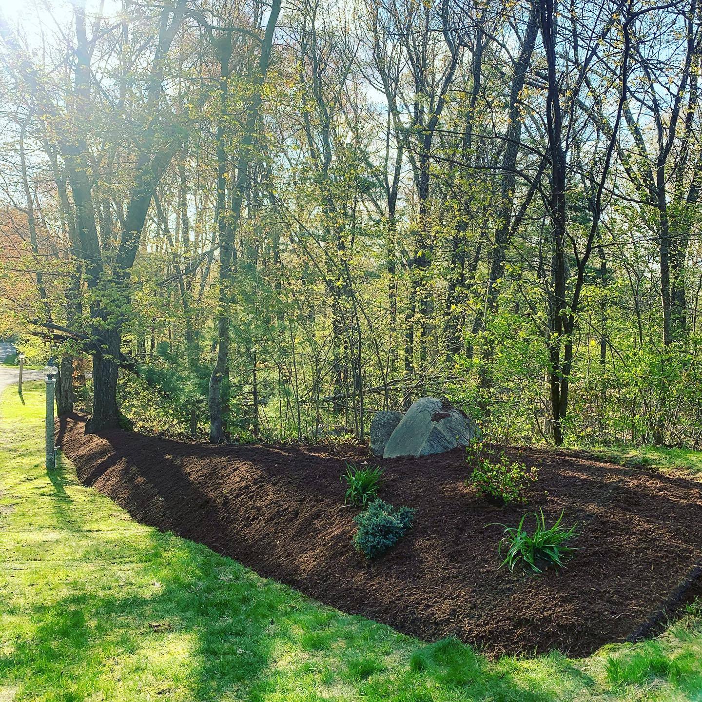 There is a large rock in the middle of the woods.