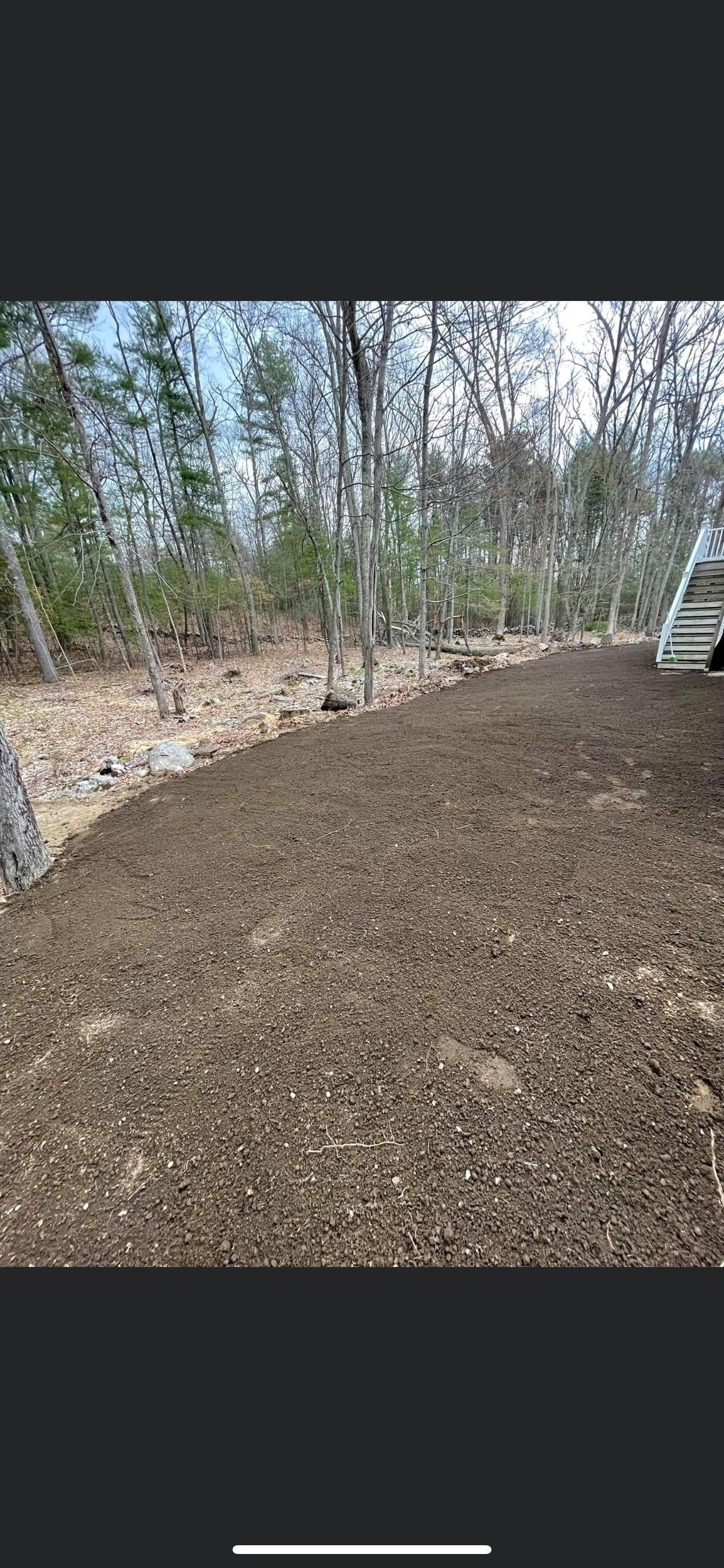 A large pile of dirt is sitting in the middle of a forest.