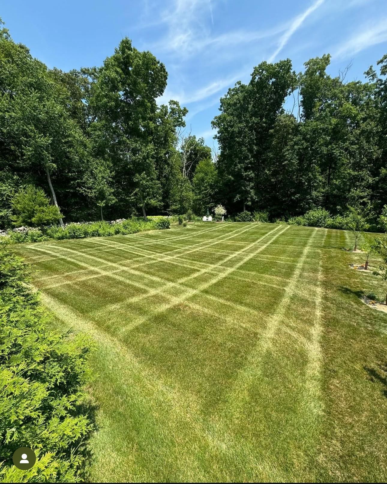A lush green field of grass with trees in the background.