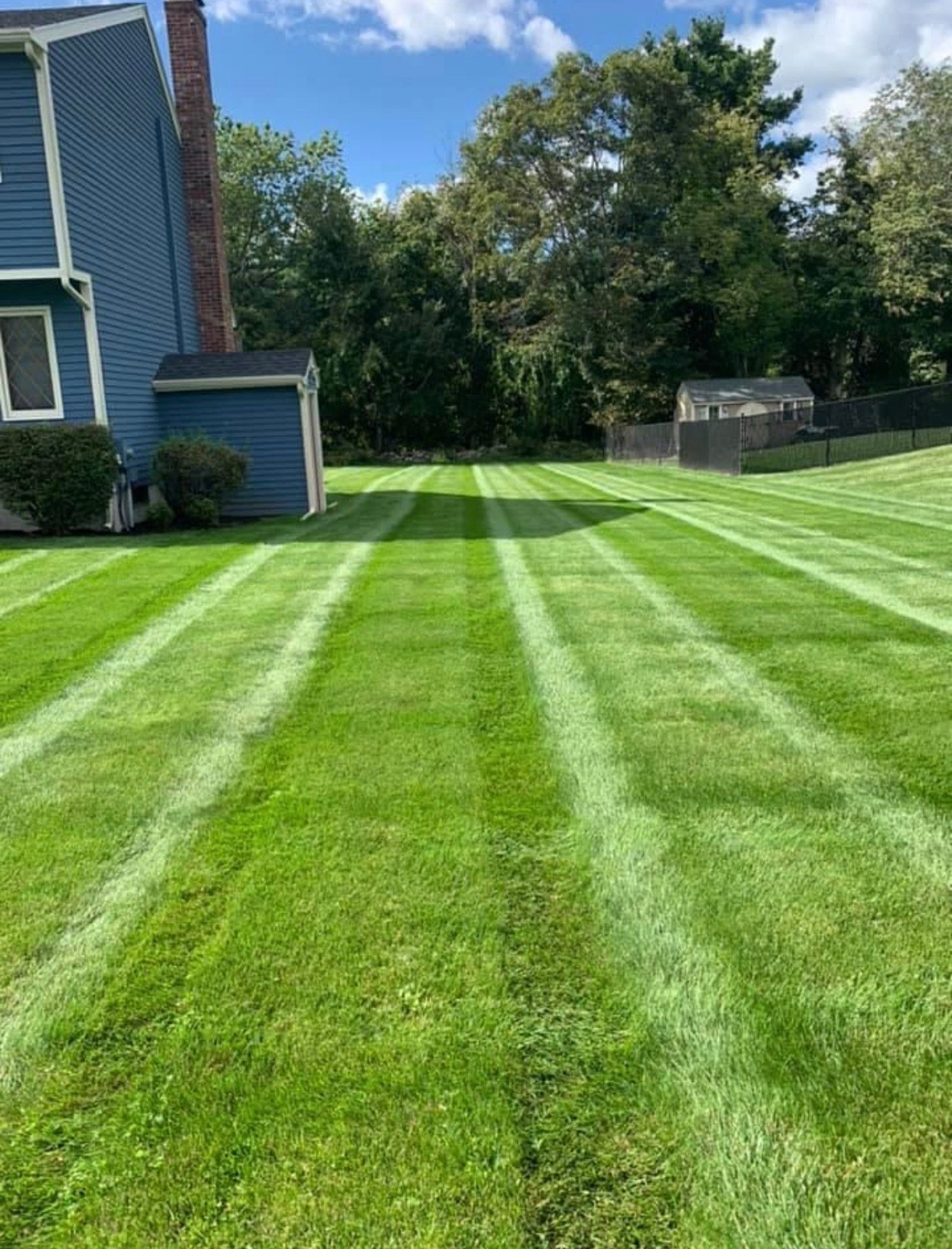 A lush green lawn with a blue house in the background.