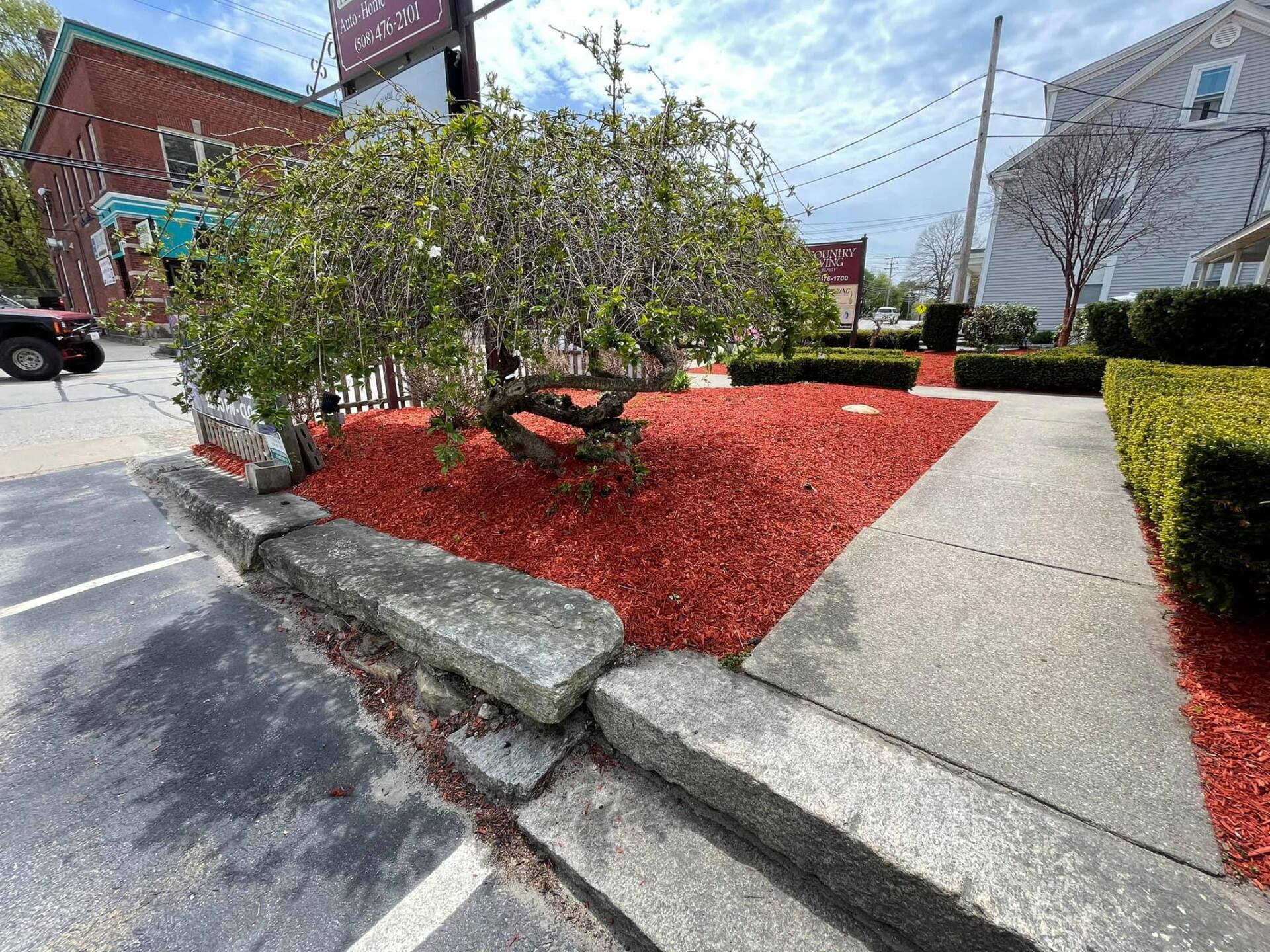 There is a tree in the middle of a park with red mulch.