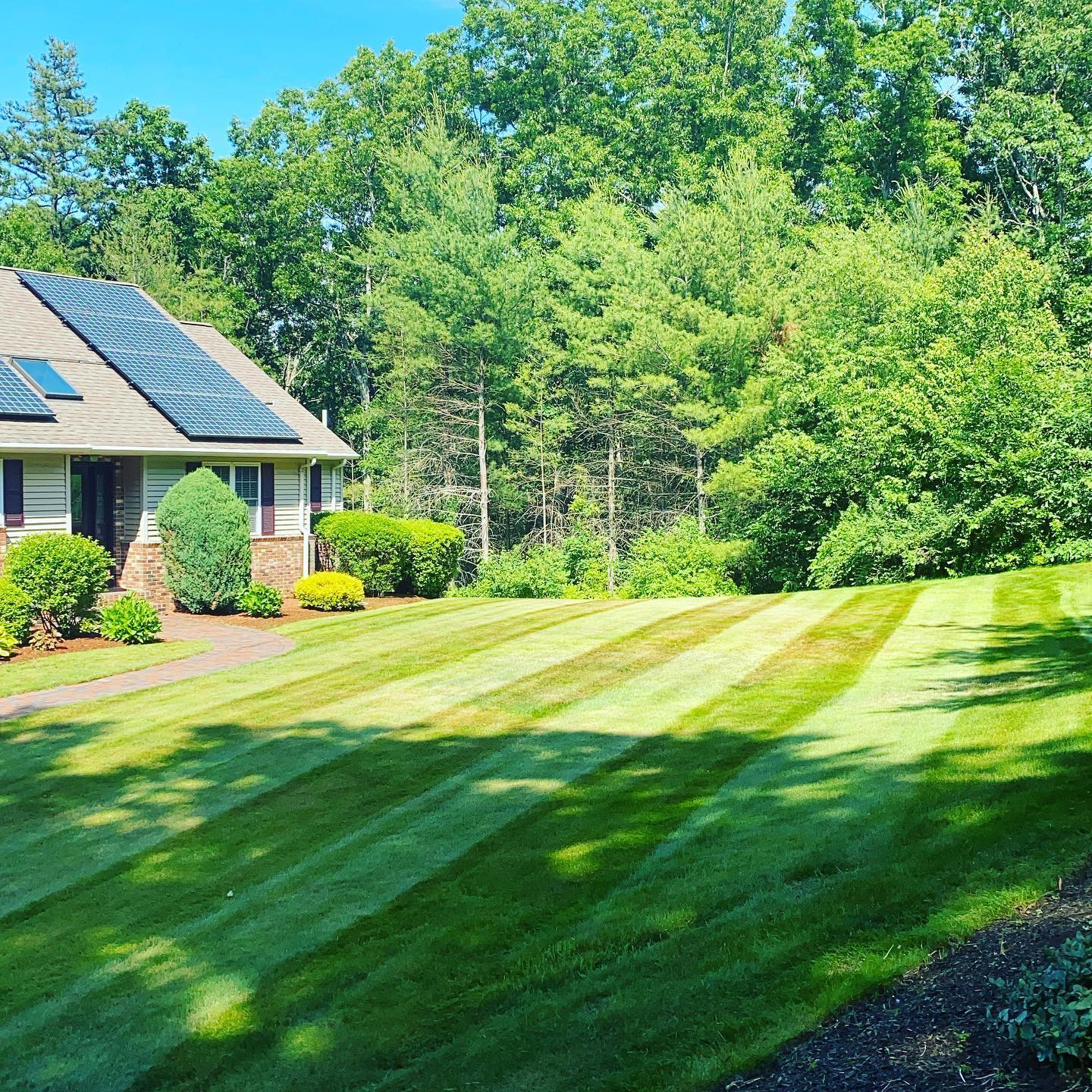 A house with solar panels on the roof and a lush green lawn in front of it.