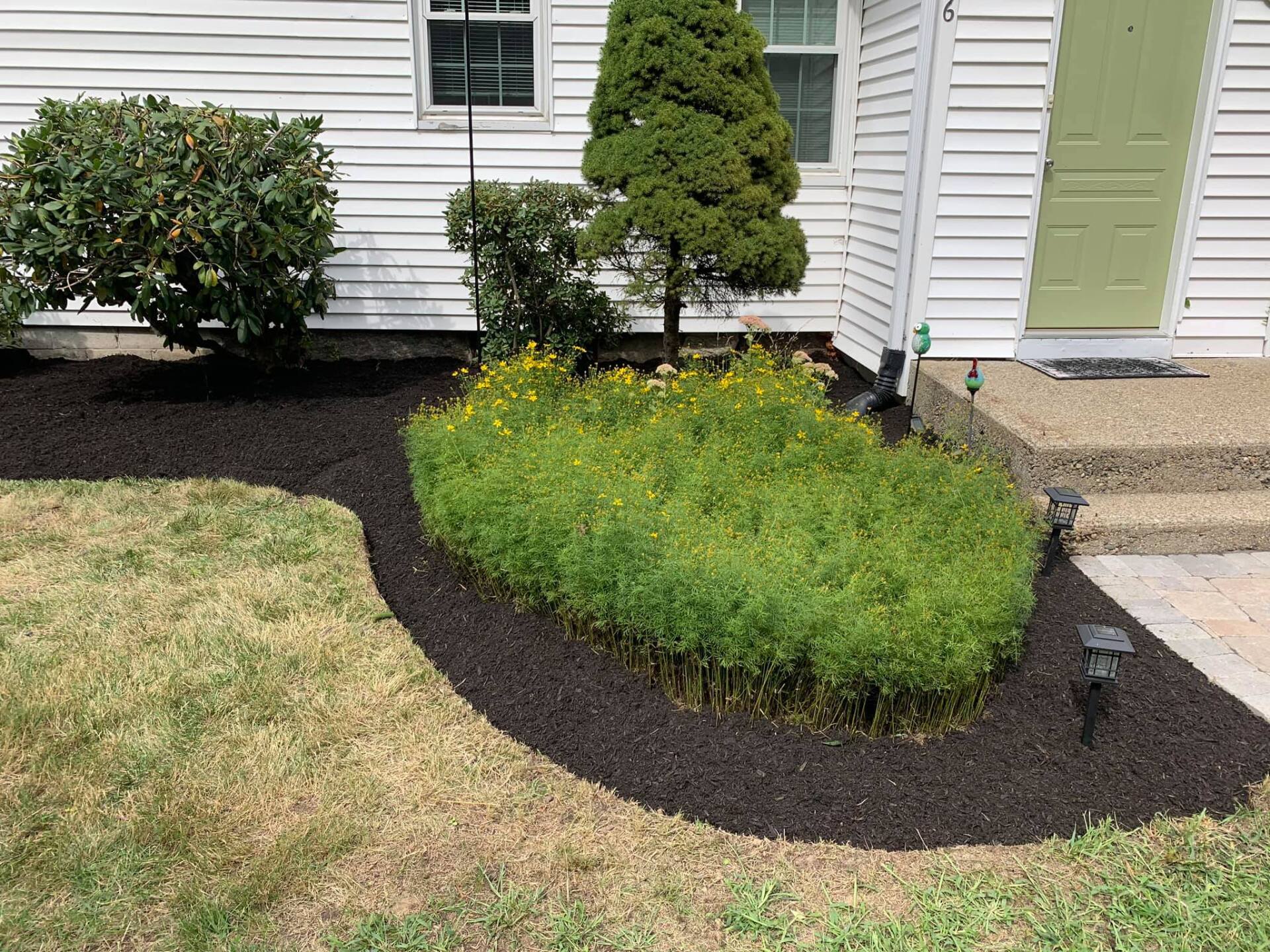 A white house with a green door and a garden in front of it.