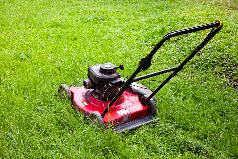 Red Lawn Mower — Lawn Care and Maintenance In Taree, NSW