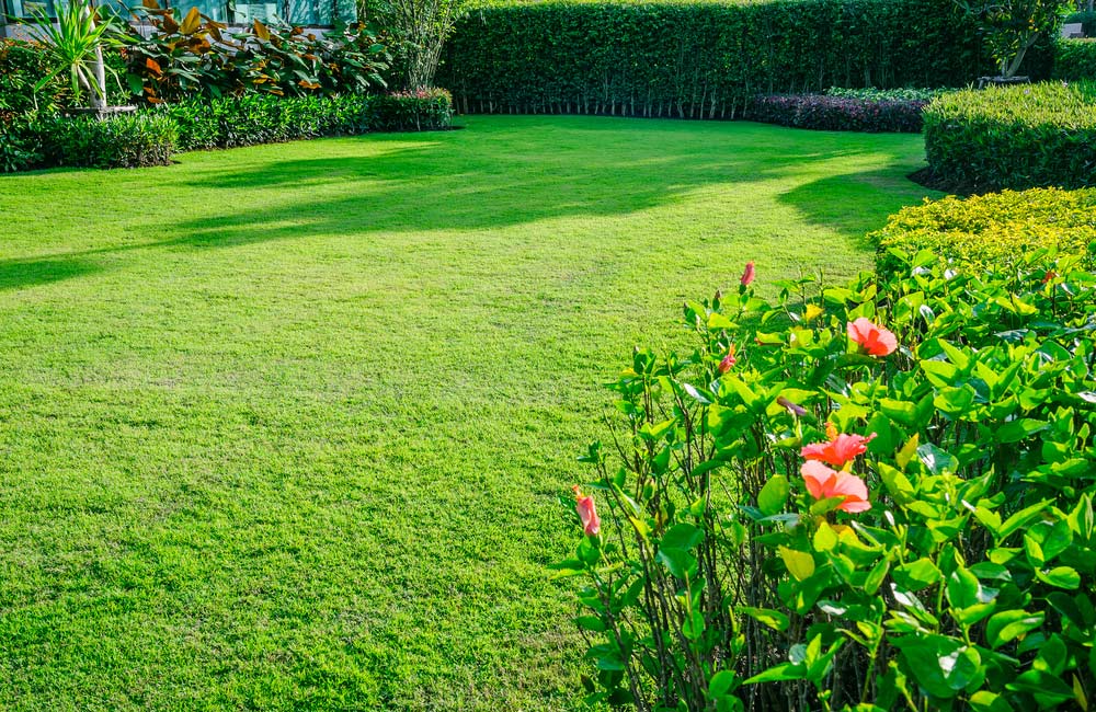 Garden With Tall And Short Shrubs And Flowers — Lawn Care and Maintenance In Taree, NSW