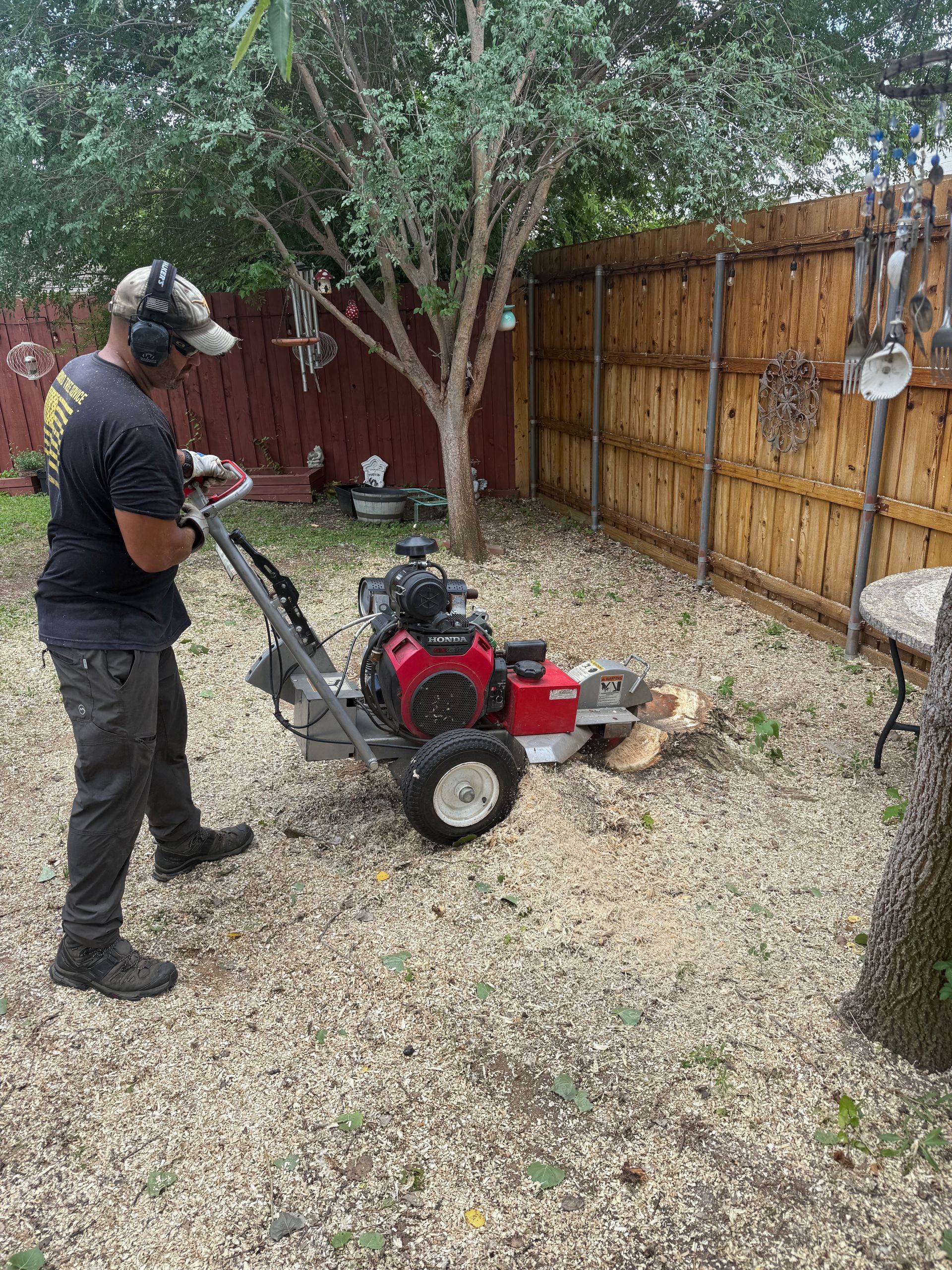 A man is standing on a dock next to a tree that has fallen into the water.