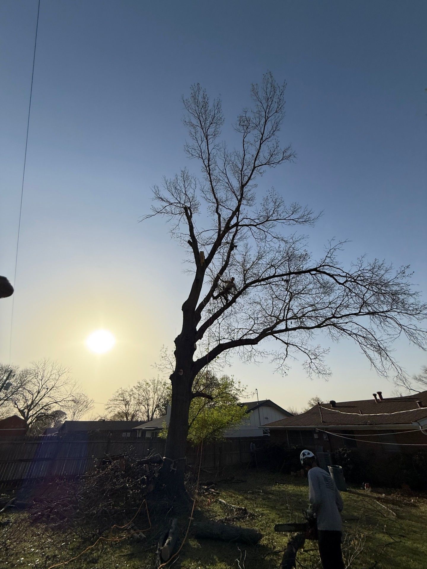 A brick house with a large tree in front of it