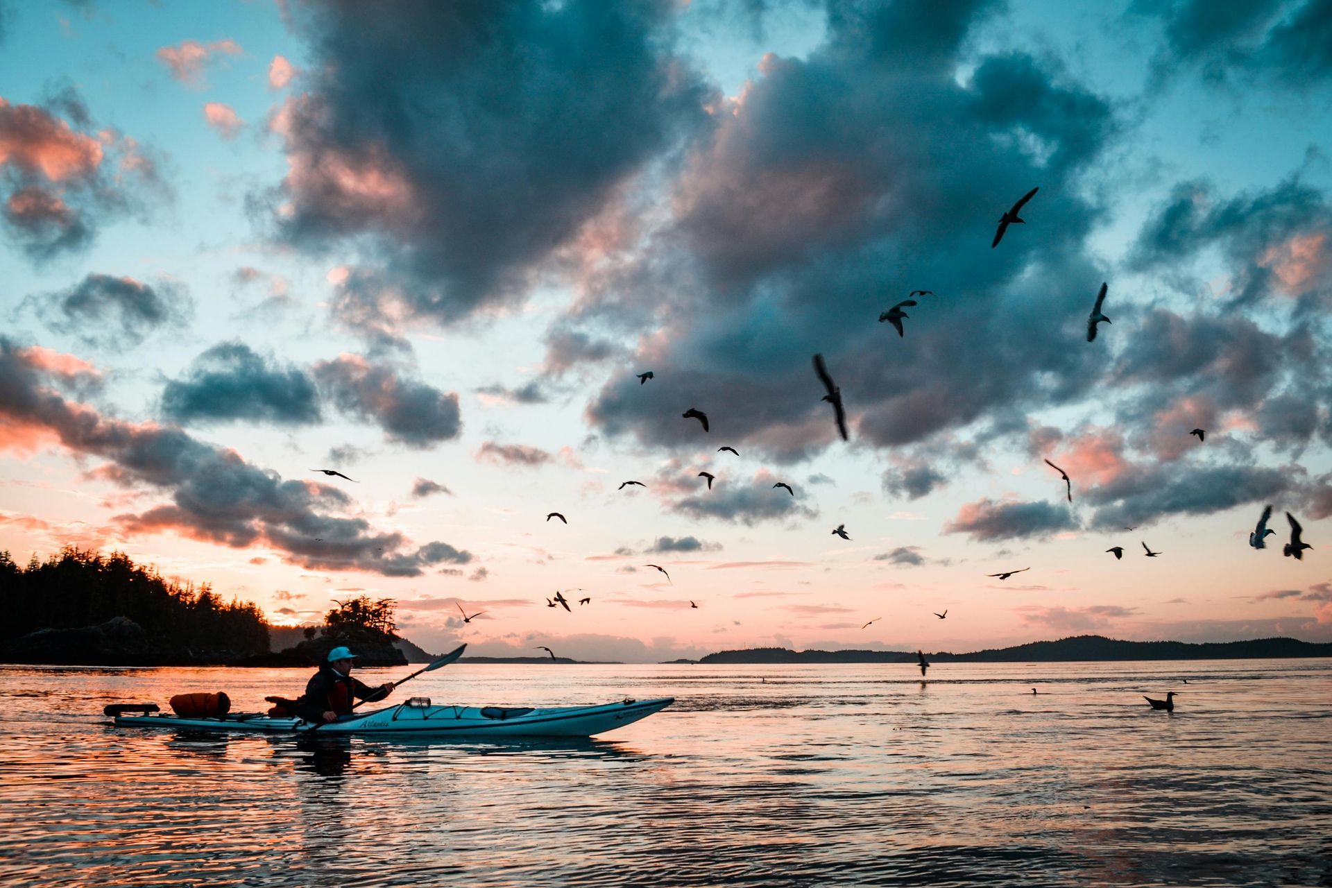 Foto di un'escursionista in kayak in mezzo al mare, con il tramonto e uccelli che volano