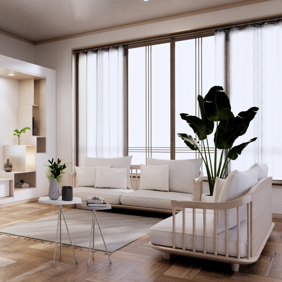 what you need to know about couch cleaning