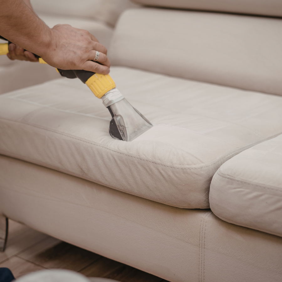 professional upholstery cleaning