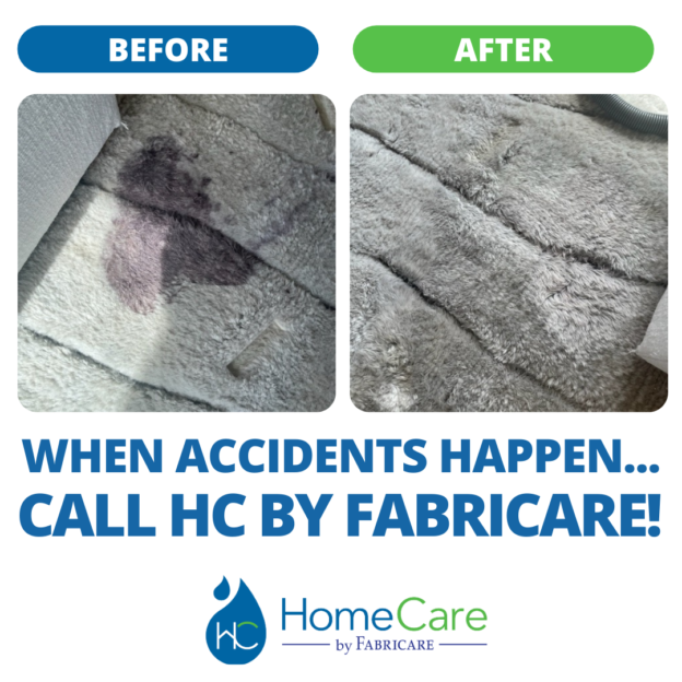 carpet stain removal before and after