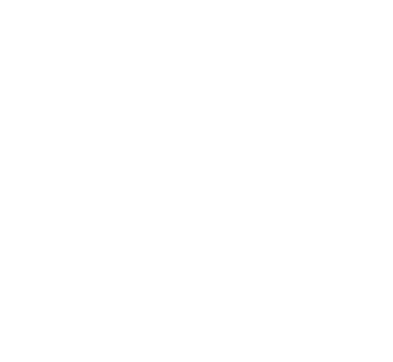 A white logo for Fly Cast Digital