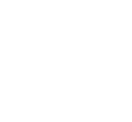 A white logo for Fly Cast Digital