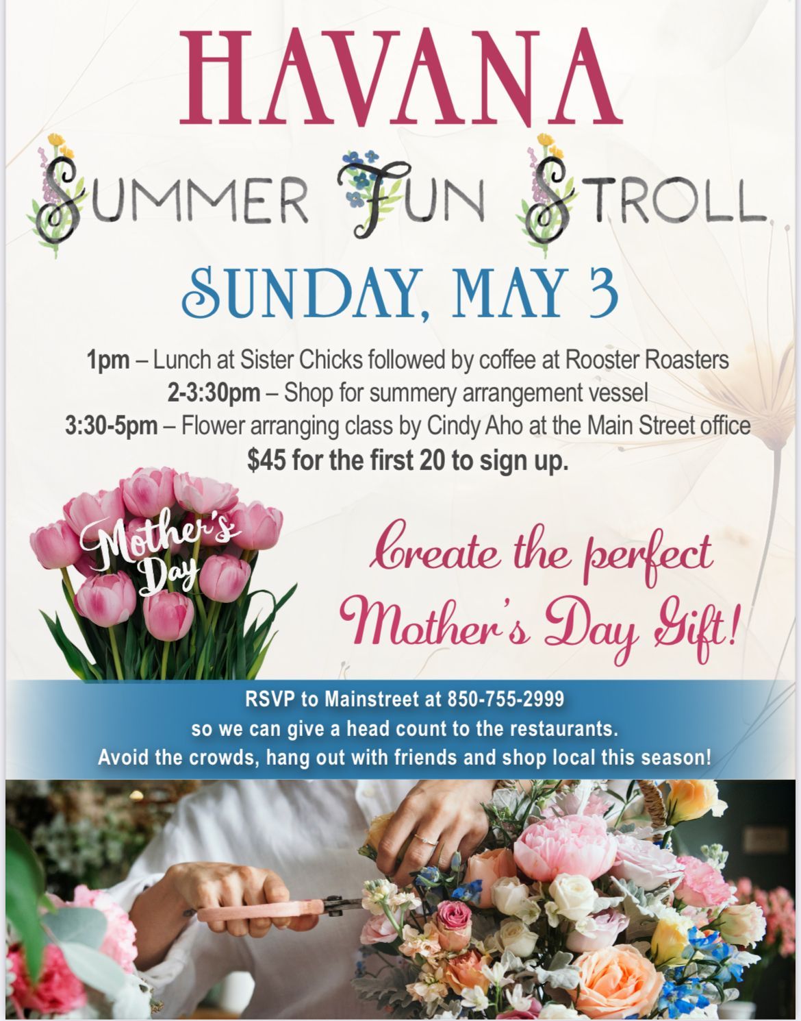 HAVANA SUMMER FUN STROLL