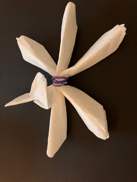 White paper flower with a purple center on a dark background