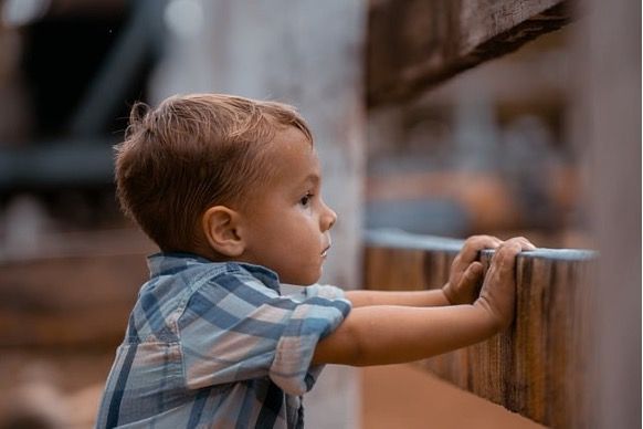 A young boy is leaning against a wooden wall.