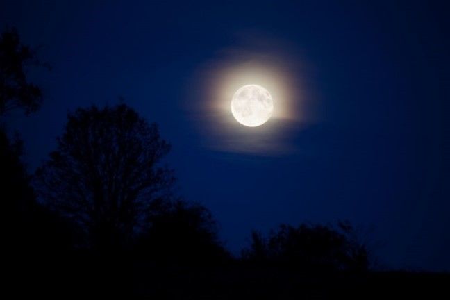 A full moon is shining brightly in a dark blue sky with trees in the foreground.