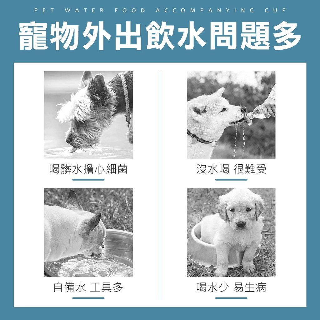 二合一寵物外出食盆 水壺 水杯 飲水器 寵物水壺 狗狗 貓咪 水壺 外出水壺 寵物用品 水 餵食器