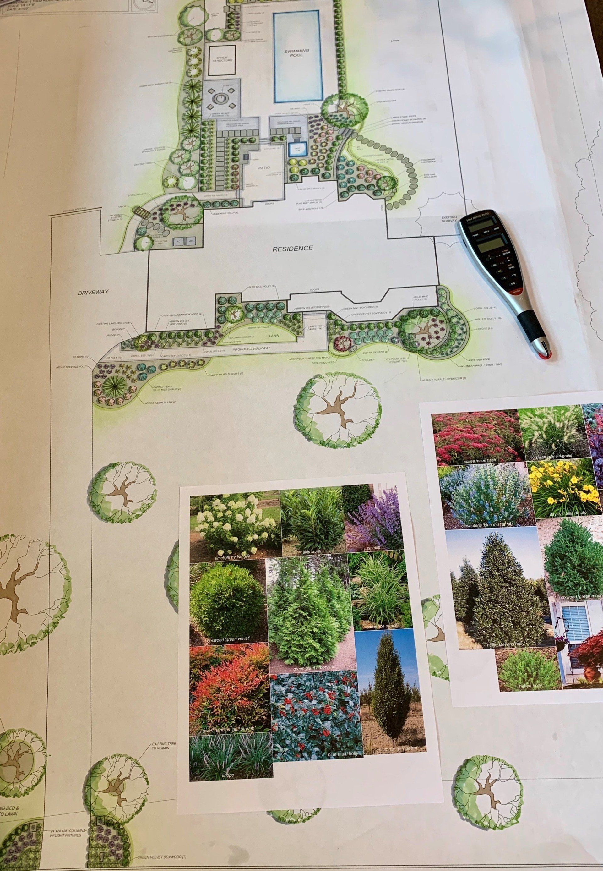 Landscape design plan with plant samples, a pen, and a color palette on a large surface.