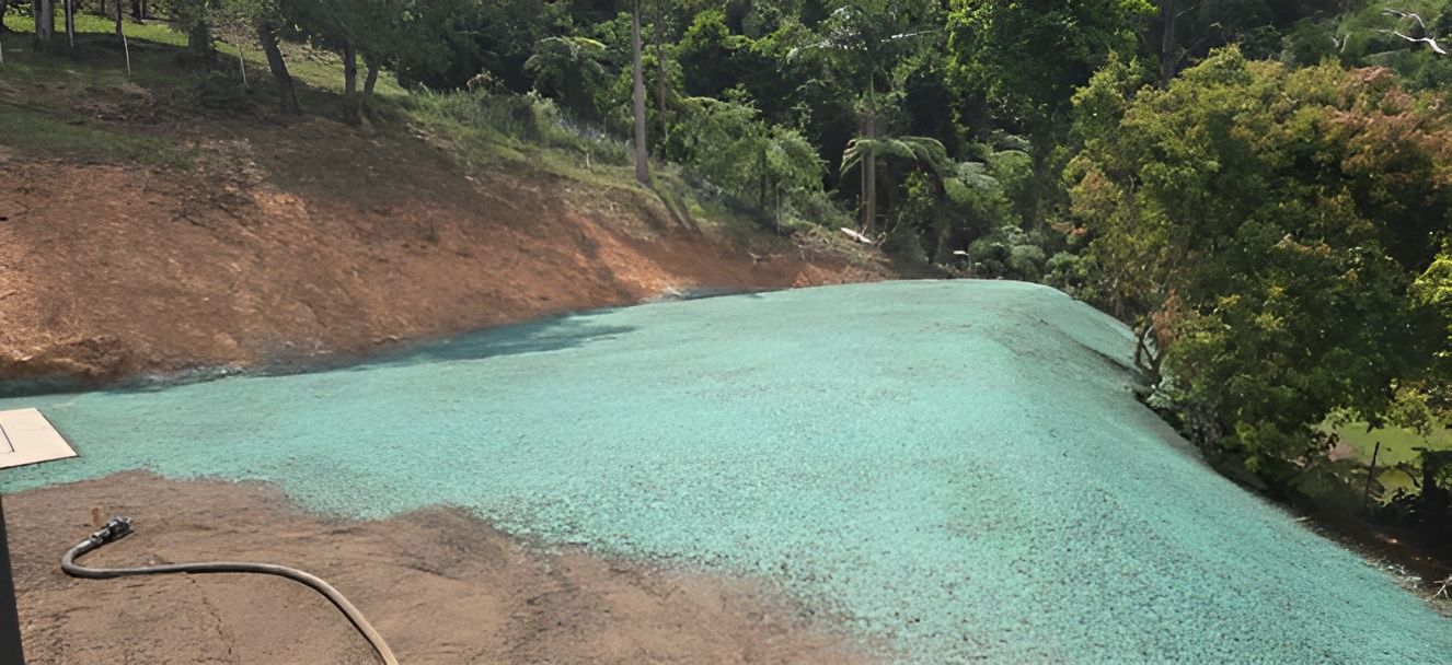 A Hillside Covered in Green Hydroseed, with A Hose on The Concrete Below — East Coast Hydroseeding in Cooperabung, NSW